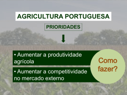 competitividade da agricultura (919794)