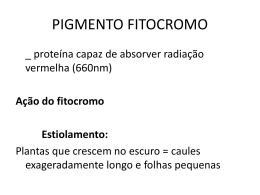 Pigmento fitocromo Turma: SEMIEXTENSIVO Professor