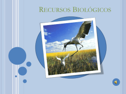 PowerPoint sobre os Recursos Biologicos