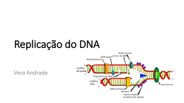 2015 replica&ccedil;&atilde;o dna vrma - AULAS VERA REGINA ANDRADE