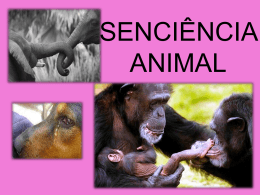 Senciência Animal