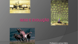 SEXO E EVOLUÇÃO