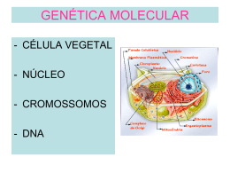 Gen&eacute;tica Molecular