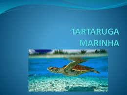 Tartaruga-de-couro Marinha