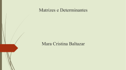 Matrizes e Determinantes Mara Cristina Baltazar