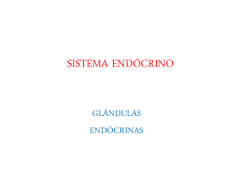 Sistema Endócrino - Hipófise e Gônadas