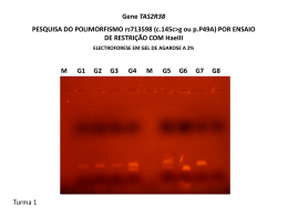 PCR-RFLP TAS2R38 T1 e T2 2012