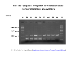 PCR-RFLP HBB T1 e T2 2012