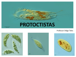 Protista Protozoa - Aulas Iniciais (894721)