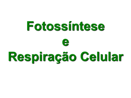 Fotossíntese e Respiração Celular