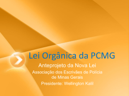 Lei Org&acirc;nica da PCMG