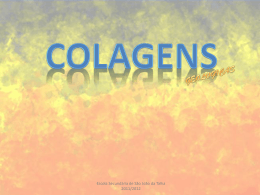 Colagens_GEOLOGICAS.