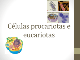 Células procariotas e eucariotas