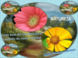 Cuide bem da natureza,ela é o pulmão do nosso