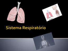 Sistema Respiratório (414501)