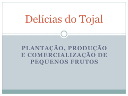 Delicias do Tojal - CONTAMAIS consultoria