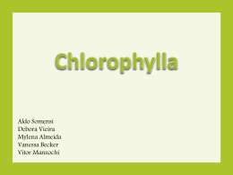 apresentação Chlorophylla