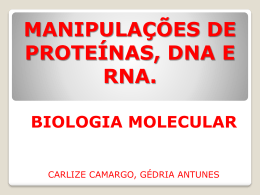 MANIPULAÇÕES DE PROTEÍNAS, DNA E RNA.