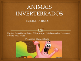 ANIMAIS INVERTEBRADOS