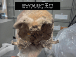Evolu&ccedil;&atilde;o - Portal do aluno RUMO