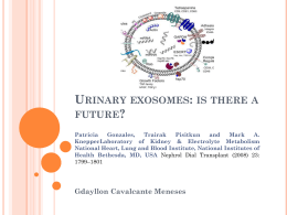 Urinary exosomes: is there a future?