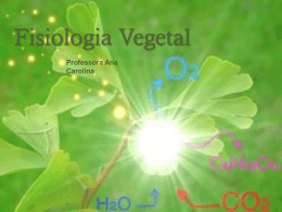 Fisiologia Vegetal