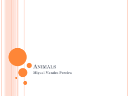 Animals - WordPress.com