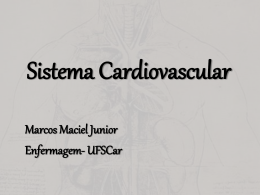 Sistema Cardiovascular.