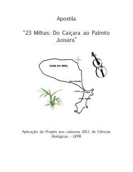 23 milhas: do cai&ccedil;ara ao palmito jussara