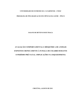 Disserta&ccedil;&atilde;o - Universidade do Extremo Sul Catarinense