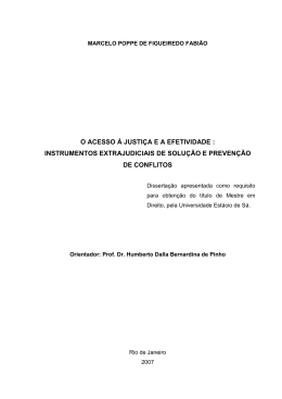 o acesso &agrave; justi&ccedil;a e a efetividade