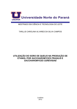 utiliza&ccedil;&atilde;o do soro de queijo na produ&ccedil;&atilde;o de etanol por