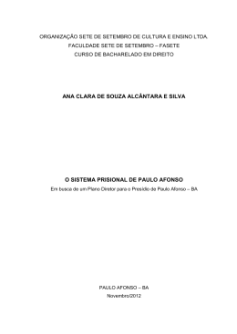 ANA CLARA DE SOUZA ALC&Acirc;NTARA E SILVA O SISTEMA