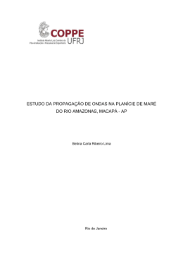 estudo da propaga&ccedil;&atilde;o de ondas na plan&iacute;cie de mar&eacute; do rio