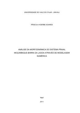 an&aacute;lise da morfodin&acirc;mica do sistema praial mo&ccedil;ambique