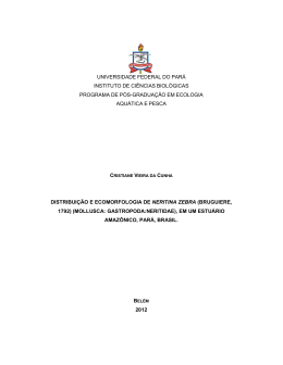 dissertaçao completa  - Universidade Federal do Pará