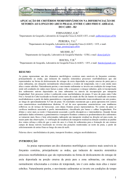 Aplica&ccedil;&atilde;o de crit&eacute;rios morfodin&acirc;micos na diferencia&ccedil;&atilde;o