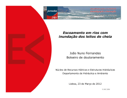 Escoamento em rios com inunda&ccedil;&atilde;o dos leitos - Jornadas