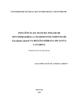 INFLU&Ecirc;NCIA DA MANCHA FOLIAR DE MYCOSPHAERELLA NO