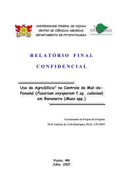 R E L A T &Oacute; R I O    F I N A L  C O N F I D E N C I A L