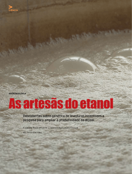 As artesãs do etanol - Revista Pesquisa FAPESP