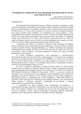 Tecnologias de recupera&ccedil;&atilde;o de &aacute;reas degradadas pela minera&ccedil;&atilde;o