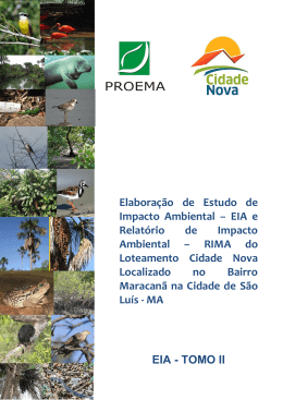 EIA - TOMO II - Prefeitura de S&atilde;o Lu&iacute;s