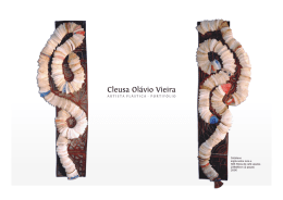 Portif&oacute;lio - Cleusa Olavio Vieira