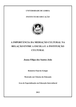 A IMPORT&Acirc;NCIA DA MEDIA&Ccedil;&Atilde;O CULTURAL NA RELA&Ccedil;&Atilde;O