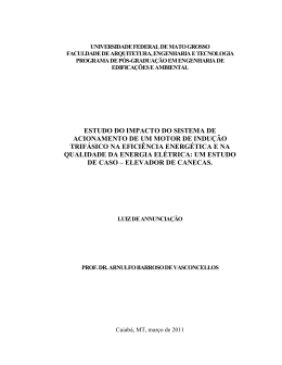 Disserta&ccedil;&atilde;o