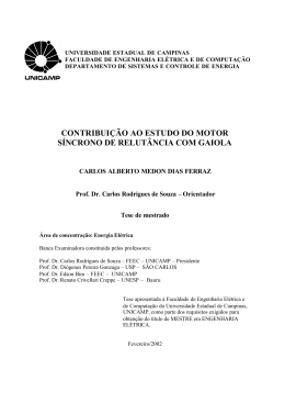 Visualizar - Biblioteca Digital da Unicamp