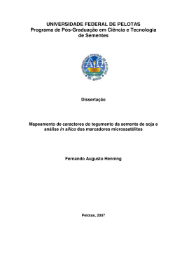 Disserta&ccedil;&atilde;o de Fernando Augusto Henning