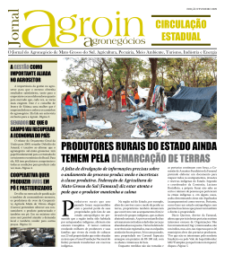 Edi&ccedil;&atilde;o #8 05/02/2009