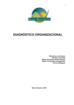 DIAGNÓSTICO ORGANIZACIONAL - Faculdade Novos Horizontes